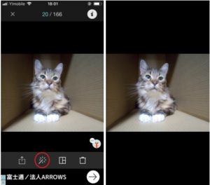 ミッキー耳に犬猫画像を加工するやり方 インスタ人気のアプリとコツを紹介 きらりんぐeyes Part 2