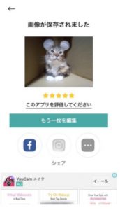 ミッキー耳に犬猫画像を加工するやり方 インスタ人気のアプリとコツを紹介 きらりんぐeyes Part 2