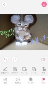 ミッキー耳に犬猫画像を加工するやり方 インスタ人気のアプリとコツを紹介 きらりんぐeyes